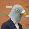 pigeon mask.png