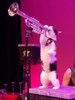 cat trumpet.jpg
