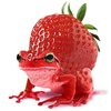 strawfrog.jpg