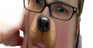 sneakiLongDog3.png