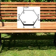 Bench Glucose